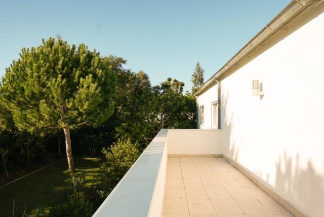 Edles Apartment In Architektenvilla Mit Grossem Pool, Sauna, Dachterrasse Und Malerischem Garten Pataias Eksteriør bilde